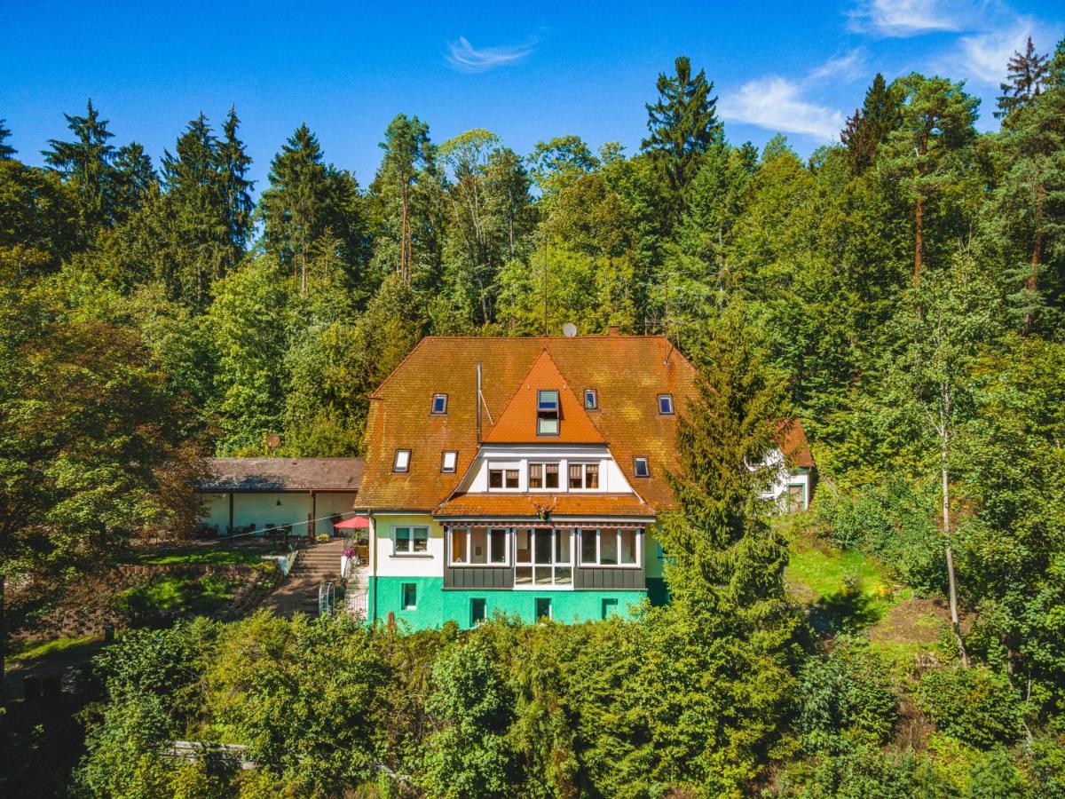Готель Jaegerhaus Донауешинген Екстер'єр фото